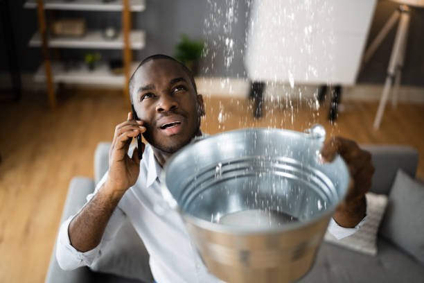 Best Water damage cleanup near me  in Middletown, NY