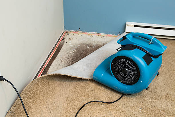 Best Mold removal after water damage  in Middletown, NY